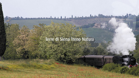 2024 W treno natura siena montepulciano 1/06 IN19